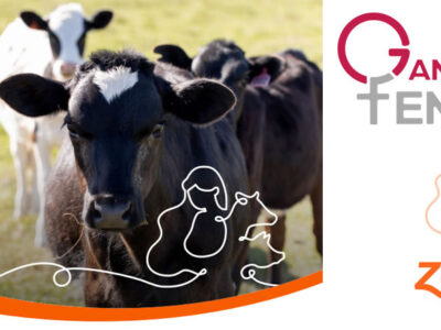 Zoetis organiza un webinar sobre prevención de M. bovis en novillas