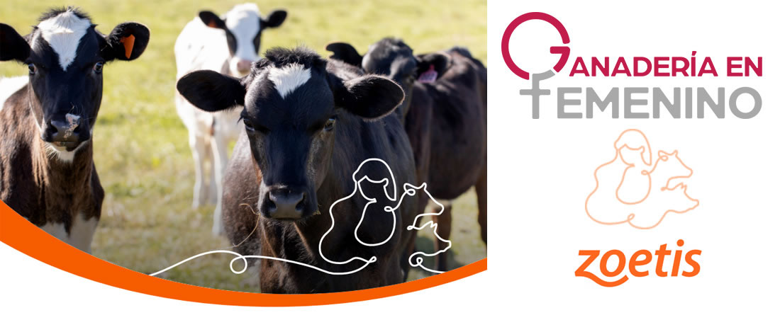 Zoetis organiza un webinar sobre prevención de M. bovis en novillas