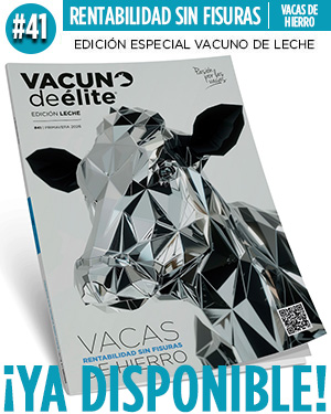 leceh41_yadisponible