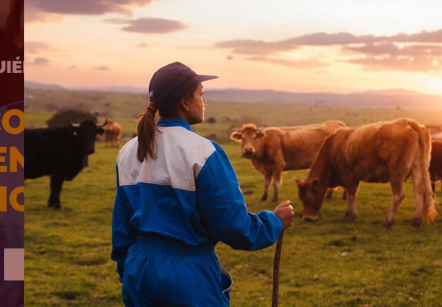 Provacuno recuerda 10 medidas clave para preservar y mejorar el suelo en el Día del Medio Ambiente, dentro de su programa ‘Por una Europa Sostenible’