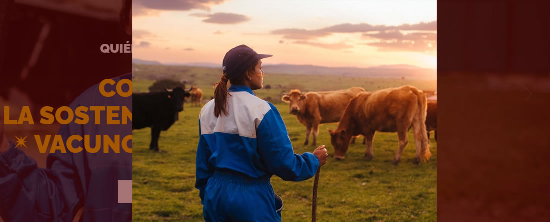 Provacuno recuerda 10 medidas clave para preservar y mejorar el suelo en el Día del Medio Ambiente, dentro de su programa ‘Por una Europa Sostenible’
