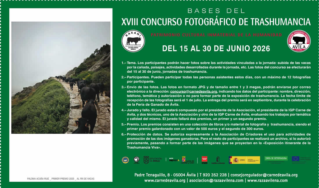 “La trashumancia: un viaje milenario que sigue recorriendo España.”
