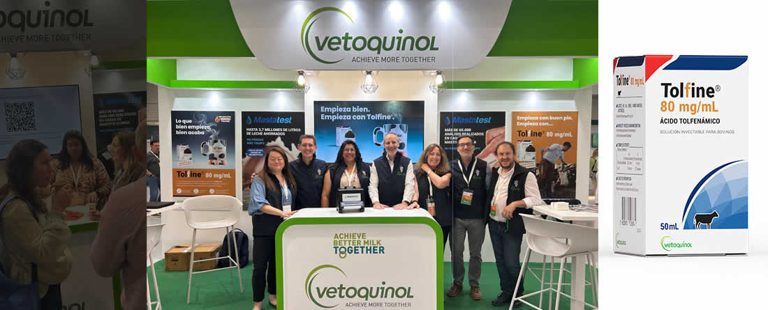 Vetoquinol presenta en la edición 2026 del Congreso ANEMBE el nuevo Tolfine 80mg/ml, una fórmula mejorada del ácido tolfenámico con menor volumen a inyectar y mantenimiento del rendimiento zootécnico