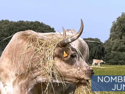 Nuevo Director General de Producción Agrícola y Ganadera de la Junta de Castilla y León