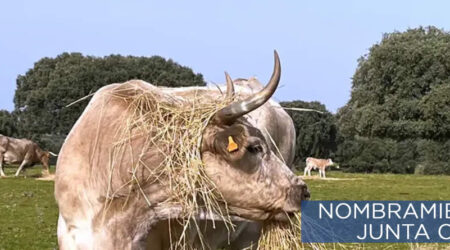 Nuevo Director General de Producción Agrícola y Ganadera de la Junta de Castilla y León