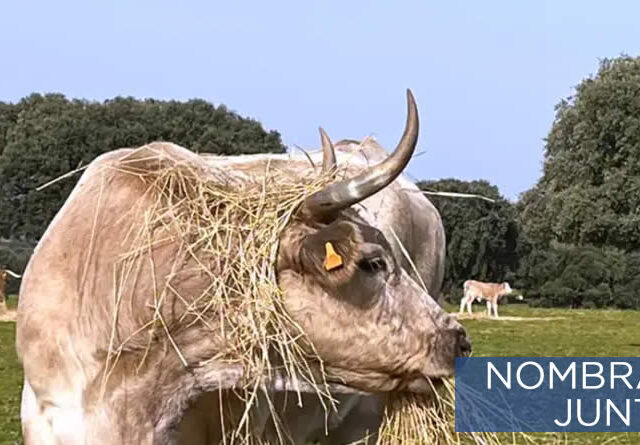 Nuevo Director General de Producción Agrícola y Ganadera de la Junta de Castilla y León