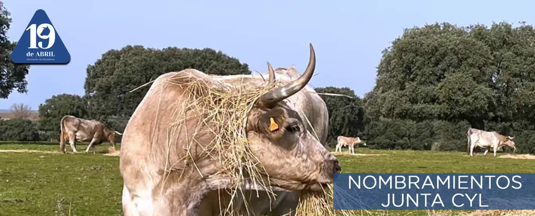 Nuevo Director General de Producción Agrícola y Ganadera de la Junta de Castilla y León