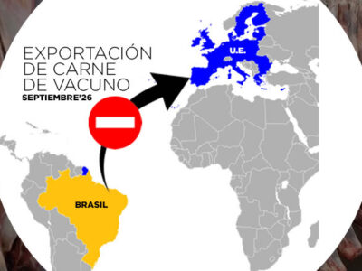 La UE confirma las denuncias del sector ganadero