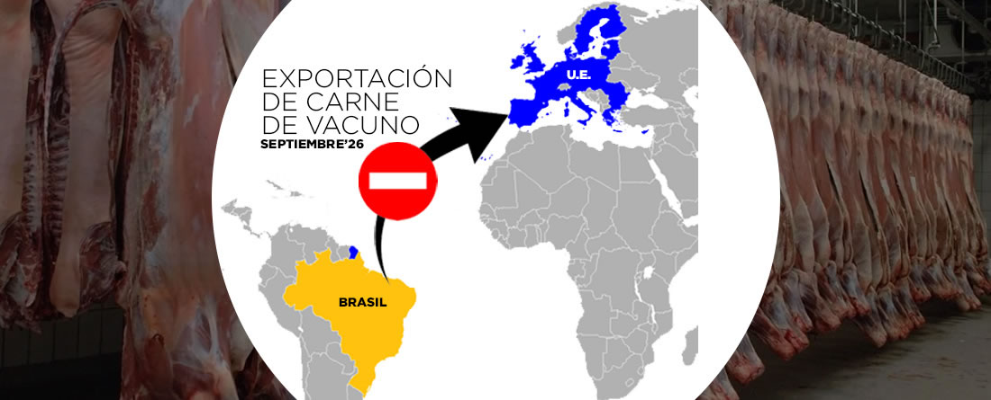 La UE confirma las denuncias del sector ganadero