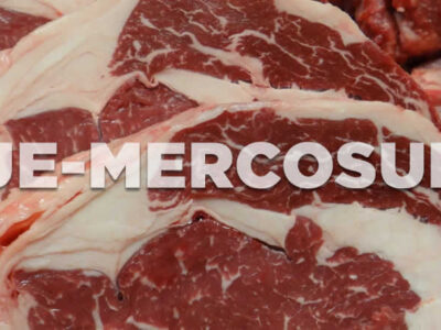 Unión de Uniones denuncia que el acuerdo UE- Mercosur ya ve su impacto: el vacuno de carne habría reducido su cotización en un 10% desde finales de abril