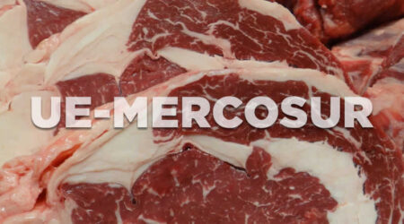 Unión de Uniones denuncia que el acuerdo UE- Mercosur ya ve su impacto: el vacuno de carne habría reducido su cotización en un 10% desde finales de abril