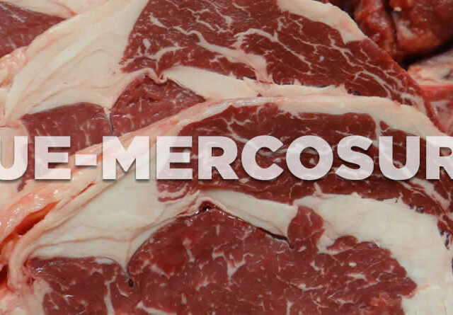 Unión de Uniones denuncia que el acuerdo UE- Mercosur ya ve su impacto: el vacuno de carne habría reducido su cotización en un 10% desde finales de abril