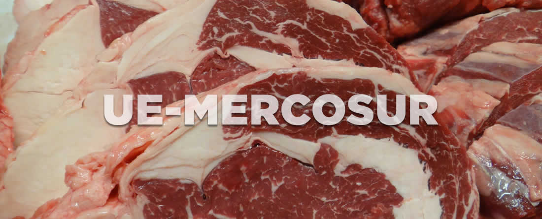 Unión de Uniones denuncia que el acuerdo UE- Mercosur ya ve su impacto: el vacuno de carne habría reducido su cotización en un 10% desde finales de abril