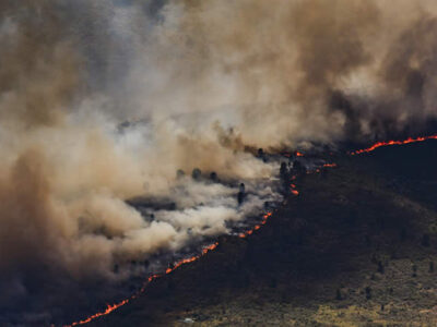Llamamiento político, social y medioambiental frente al drama de los incendios forestales