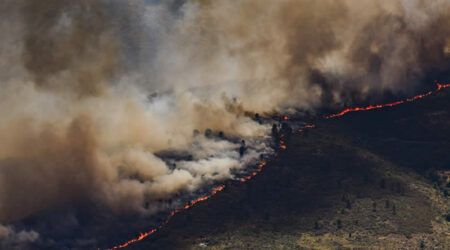 Llamamiento político, social y medioambiental frente al drama de los incendios forestales