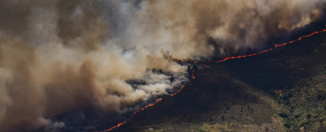 Llamamiento político, social y medioambiental frente al drama de los incendios forestales