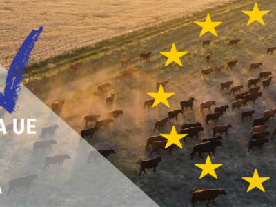 La Comisión Europea devuelve a la ganadería el reconocimiento estratégico que nunca debió perder
