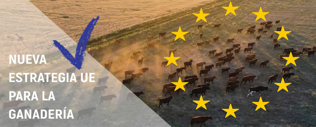 La Comisión Europea devuelve a la ganadería el reconocimiento estratégico que nunca debió perder