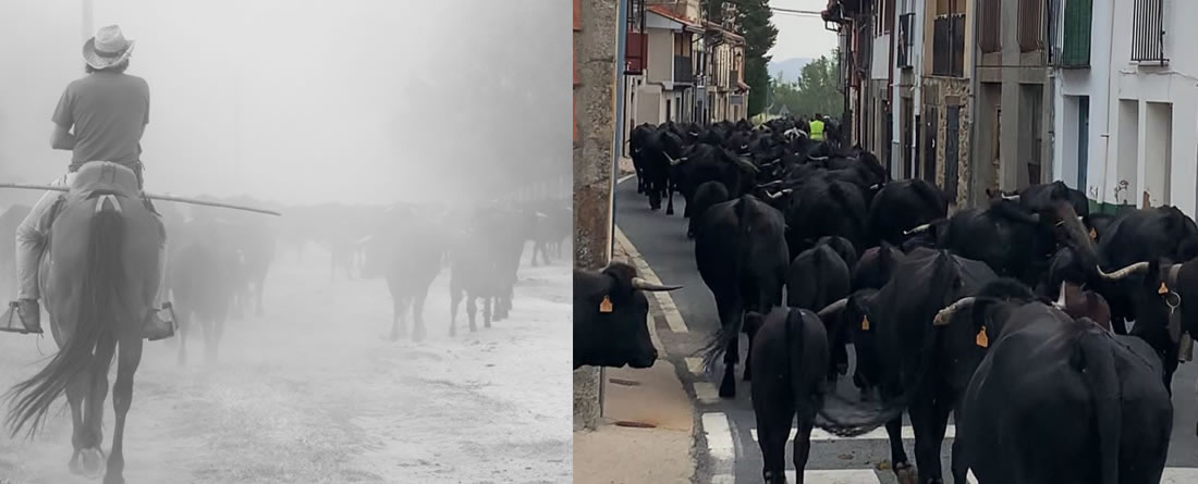 La mirada femenina vuelve a conquistar la trashumancia en el XVIII Concurso Fotográfico, en el Año Internacional de los Pastos y los Pastores