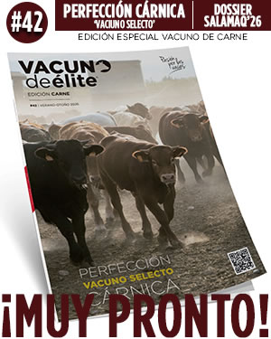 carne#42_muypronto_opt