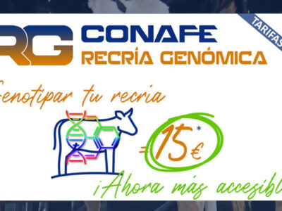 CONAFE lanza el impulso definitivo a la Recría Genómica: genotipar la recría costará 15 €