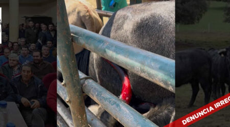Denuncia sobre las irregularidades en las campañas de saneamiento de algunos equipos veterinarios de Traxatec