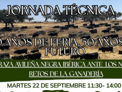 La raza Avileña-Negra Ibérica celebra en Ávila 50 años de concurso subasta nacional de la raza