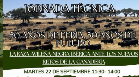 La raza Avileña-Negra Ibérica celebra en Ávila 50 años de concurso subasta nacional de la raza
