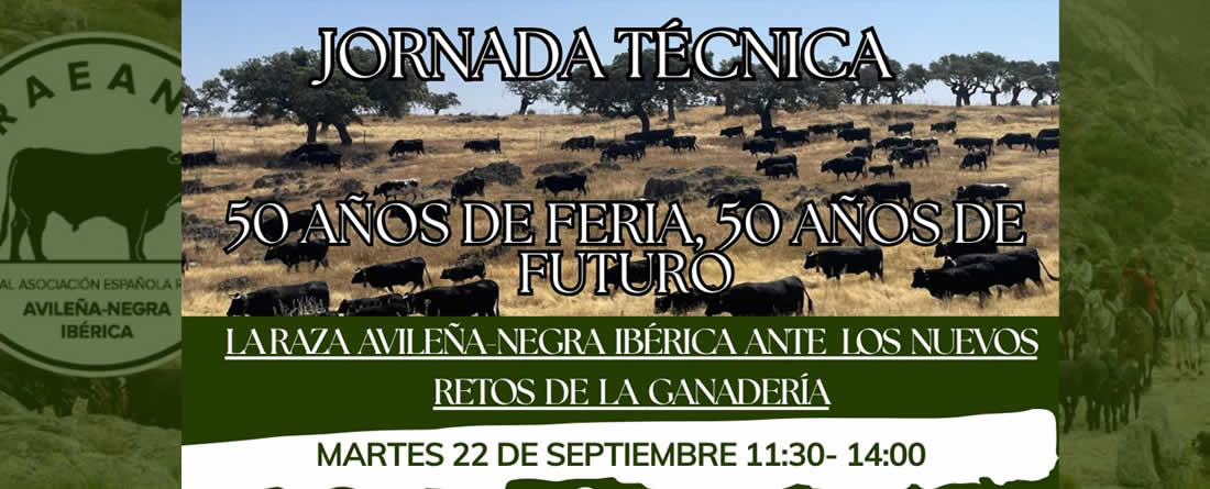 La raza Avileña-Negra Ibérica celebra en Ávila 50 años de concurso subasta nacional de la raza