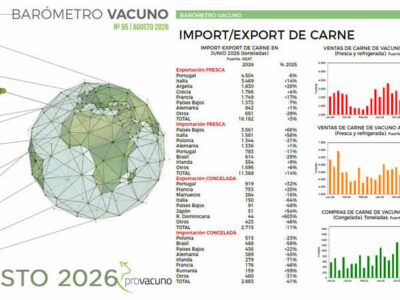 PROVACUNO publica el Barómetro Vacuno para Agosto 2026