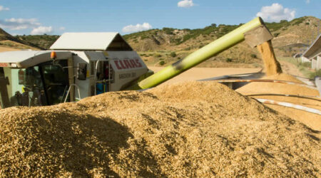 UPA pide a Competencia que investigue las prácticas de los comercializadores de cereal