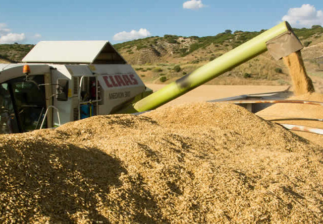UPA pide a Competencia que investigue las prácticas de los comercializadores de cereal