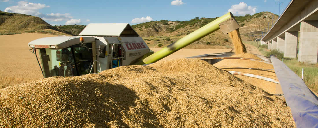 UPA pide a Competencia que investigue las prácticas de los comercializadores de cereal