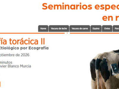 Ganadería en Femenino consolida su ciclo formativo en ecografía torácica con el webinar sobre diagnóstico etiológico en rumiantes