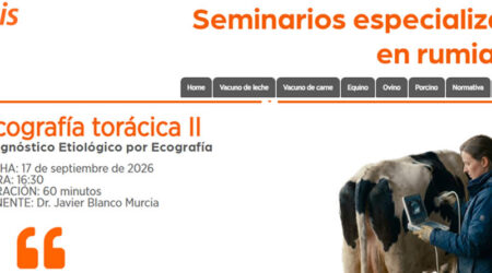 Ganadería en Femenino consolida su ciclo formativo en ecografía torácica con el webinar sobre diagnóstico etiológico en rumiantes