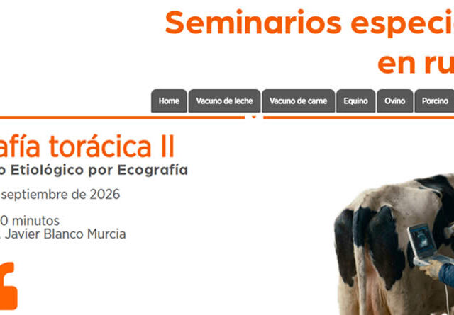 Ganadería en Femenino consolida su ciclo formativo en ecografía torácica con el webinar sobre diagnóstico etiológico en rumiantes