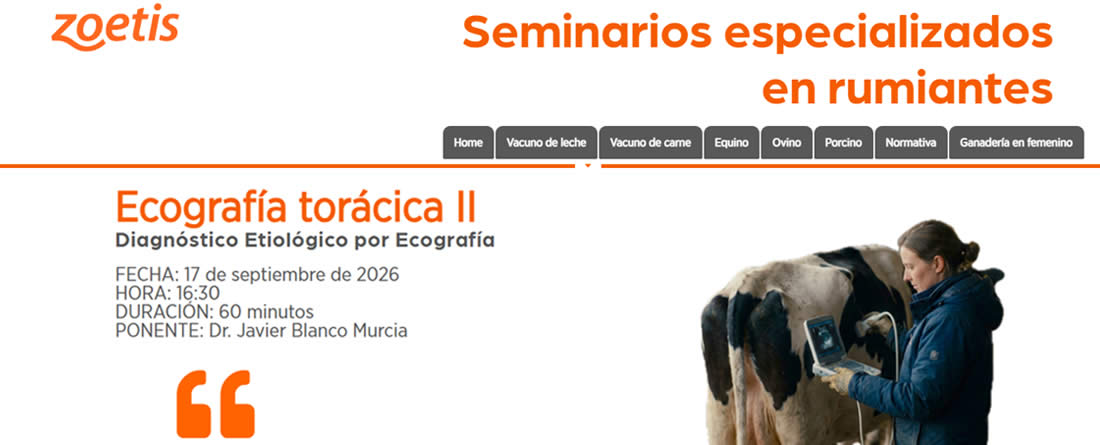 Ganadería en Femenino consolida su ciclo formativo en ecografía torácica con el webinar sobre diagnóstico etiológico en rumiantes