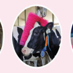 Desde DeLaval España y Portugal reafirmamos nuestro compromiso con la lucha contra el cáncer de mama