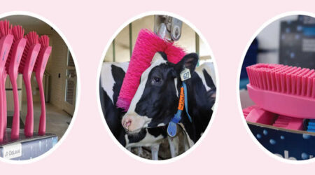 Desde DeLaval España y Portugal reafirmamos nuestro compromiso con la lucha contra el cáncer de mama