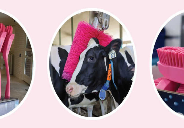 Desde DeLaval España y Portugal reafirmamos nuestro compromiso con la lucha contra el cáncer de mama
