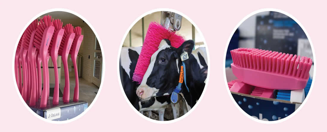 Desde DeLaval España y Portugal reafirmamos nuestro compromiso con la lucha contra el cáncer de mama