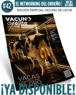 L42_YADISPONIBLE