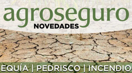 Agroseguro presenta las novedades de los seguros de cereal y viñedo con importantes mejoras para los agricultores castellanoleoneses