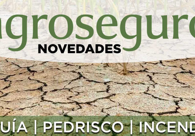 Agroseguro presenta las novedades de los seguros de cereal y viñedo con importantes mejoras para los agricultores castellanoleoneses