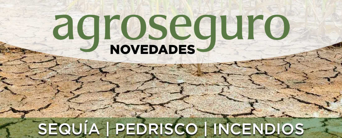 Agroseguro presenta las novedades de los seguros de cereal y viñedo con importantes mejoras para los agricultores castellanoleoneses