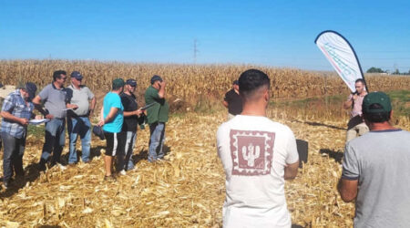 Cobadu acerca la innovación y el asesoramiento técnico a los productores de maíz de León