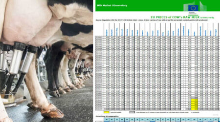 El precio de la leche cruda de vaca en la Unión Europea baja de media un 20% en agosto con respecto a 2025