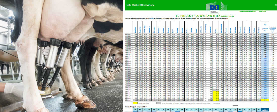 El precio de la leche cruda de vaca en la Unión Europea baja de media un 20% en agosto con respecto a 2025