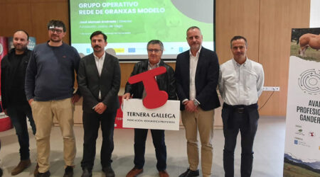 El vacuno de carne gallego cerró 2025 con una notable mejora de la rentabilidad impulsada por los elevados precios