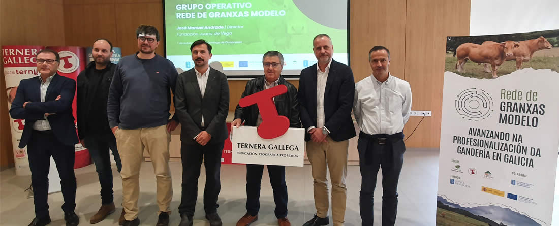 El vacuno de carne gallego cerró 2025 con una notable mejora de la rentabilidad impulsada por los elevados precios